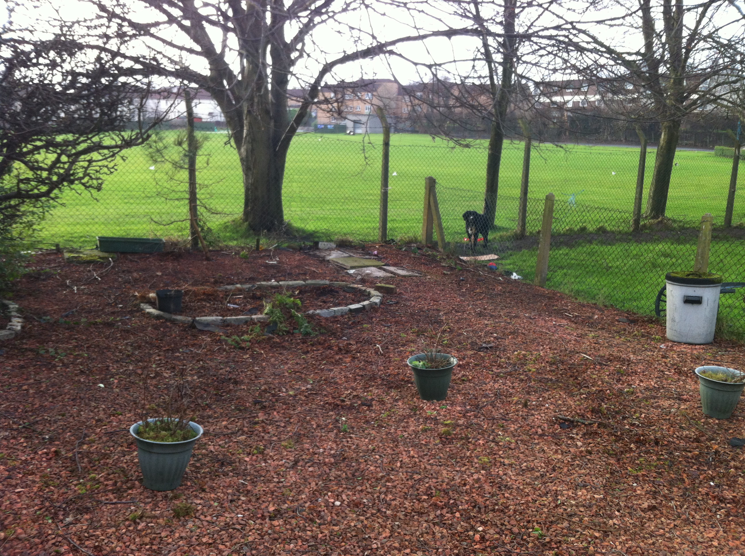 Rubbish Removal After